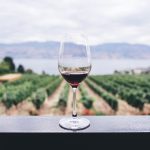 Pourquoi faire appel à une agence de communication pour votre vignoble ?