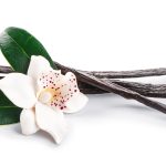 Découvrir la vanille de Madagascar